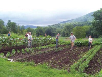 Farm Apprenticeships: Keeping Farmers From Going Extinct Image